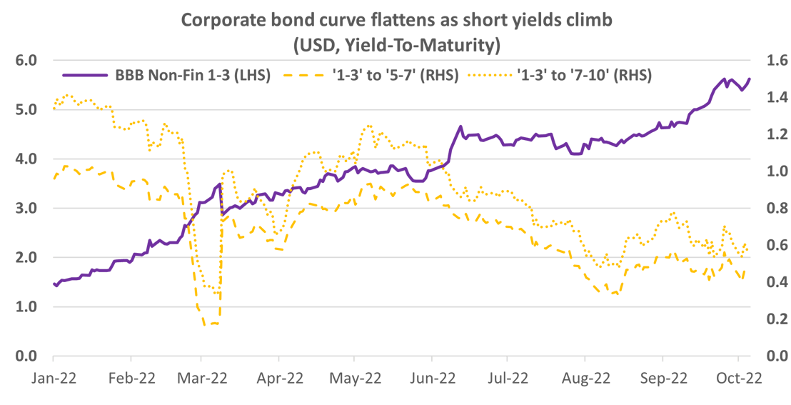 Corporate Bond YTM + Curve
